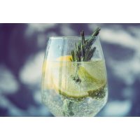 Geschenkgutschein Gin-Tasting – Gin Tonic mit Zitrone und Rosmarin