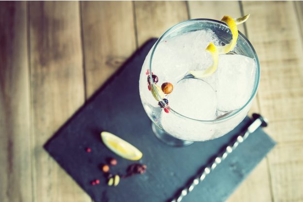 Geschenkgutschein Gin-Tasting – Gin mit Zitronenzeste