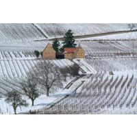 Weinwanderung online mit Essen der Winter