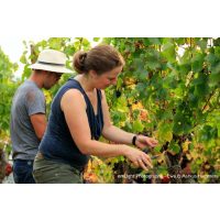 Weinwanderung online Barbara Roth