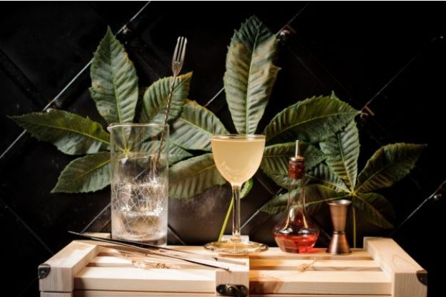 Cocktailkurs München – Tropischer Cocktail