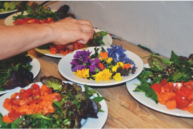 Kochkurs bei Herrmannsdorfer Glonn – aromatische Wildkräuter