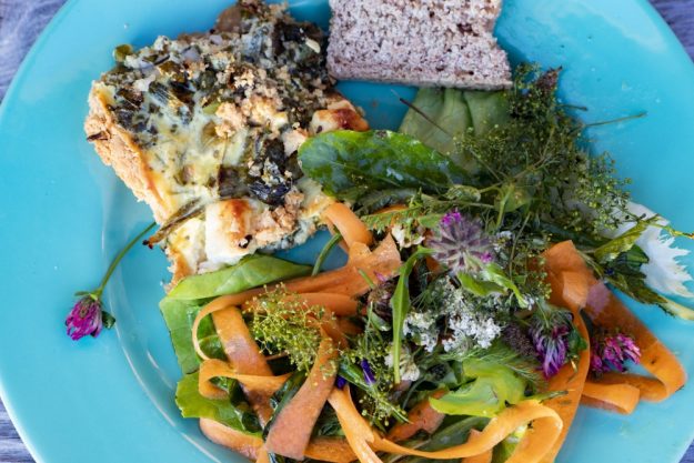 Kräuterwanderung München – kreative Kräuterküche