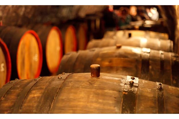 Weinprobe München – Weinkeller mit Fässern