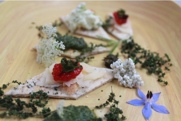 Wildkräuter-Tasting München mit Kräutern durchs Jahr