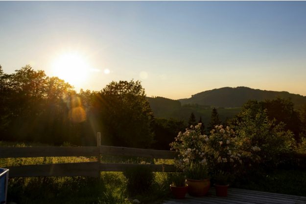 Kräuterwanderung München – idyllischer Ausblick 