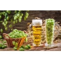 Bierkochkurs in Muenchen – Bier und Hopfen