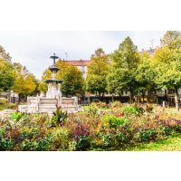 Kulinarische Stadtführung München – Weißenburger Platz