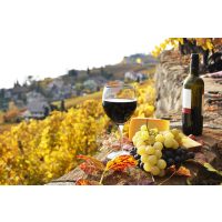 Weinprobe München – Rotwein auf Terrasse über Weinberg