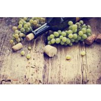 Weinprobe München Wein und Trauben