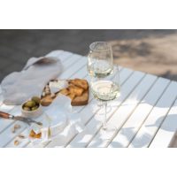 Weinprobe München Weine querbeet durch Italien, Spanien, Frankreich erkunden