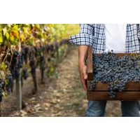 Wine Tasting München Winzer treffen vor Ort