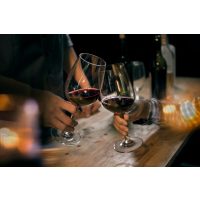 Wine tasting Munich – friends clinking glasses