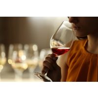 Wine tasting Munich – young woman sampling wine
