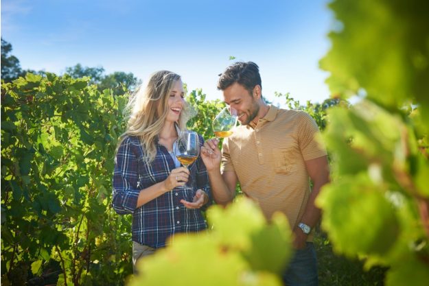 Virtuelle Reise nach Slowenien Pärchen im Weinberg
