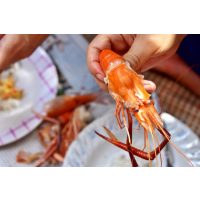 Erlebnis Geschenk Gutschein 250 EURO