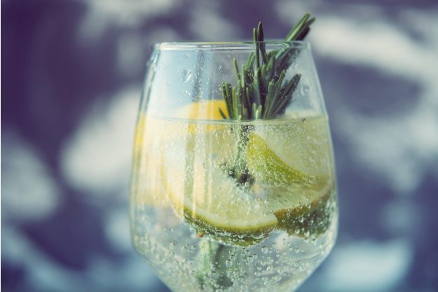 Geschenkgutschein Gin-Tasting – Gin Tonic mit Zitrone und Rosmarin