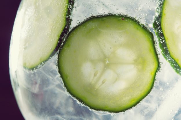 Geschenkgutschein Gin-Tasting – Gin Tonic mit Gurke