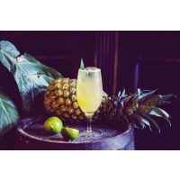 Cocktailkurs-Gutschein – Cocktail mit Wodka, Limette und Ananas