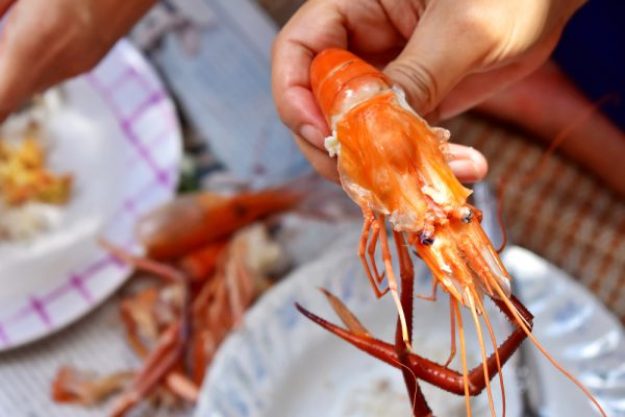 Erlebnis Geschenk Gutschein 250 EURO