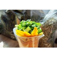 Virtuelle Brennereiführung mit Gin-Tasting zu Hause – Botanicals des Berlin Gin