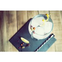 Geschenkgutschein Gin-Tasting – Gin mit Zitronenzeste