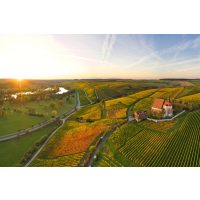 Wellness-mit-Wein-Wuerzburg wunderschöne Weinberge