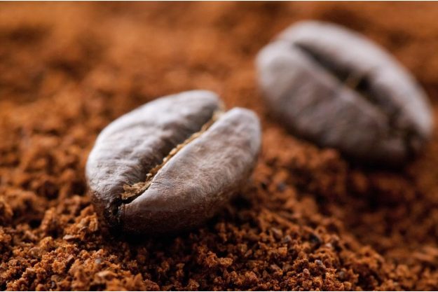 Kaffee-Seminar Hamburg – Kaffeebohnen und Kaffeemehl