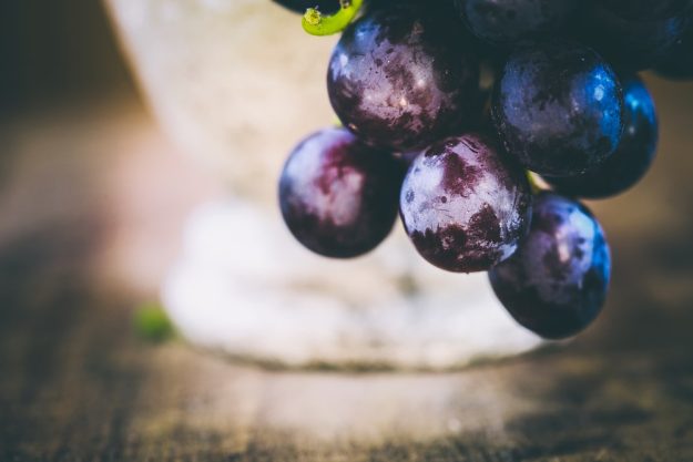 Wein-Tasting Hamburg: blaue Weintrauben