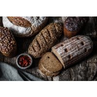 Backkurs Neumünster – frisches Brot