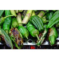 Tapas-Kochkurs Neumünster – Pimientos de Padron