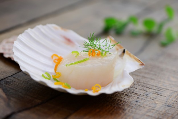 Fisch-Kochkurs Wuppertal – roher Wildlachs