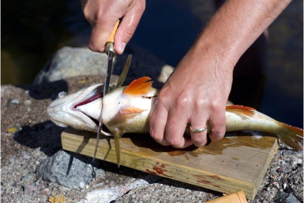 Firmenfeier Bonn - Fisch filetieren