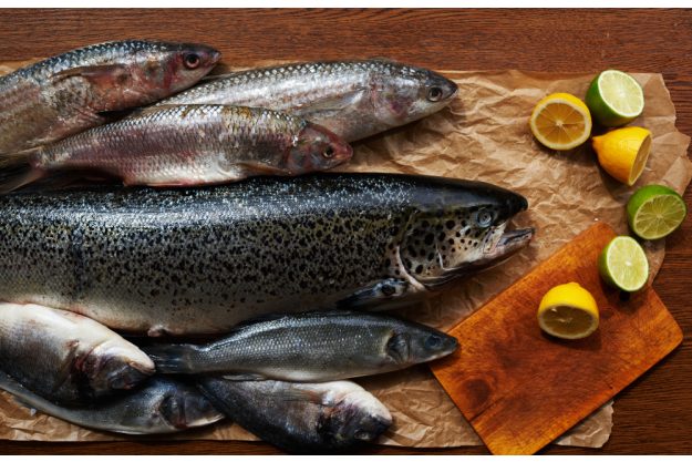 Fisch-Kochkurs Frankfurt – Loup de Mer