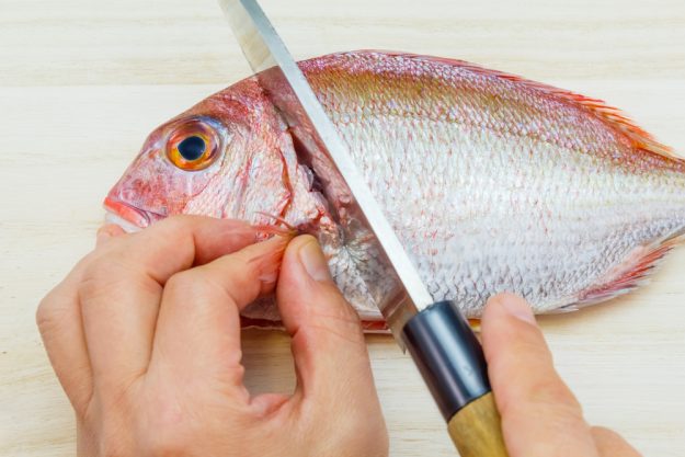 Fisch-Kochkurs München – Fisch zubereiten 