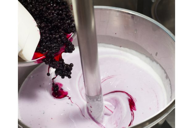 Eiskurs in Köln - Eiscreme