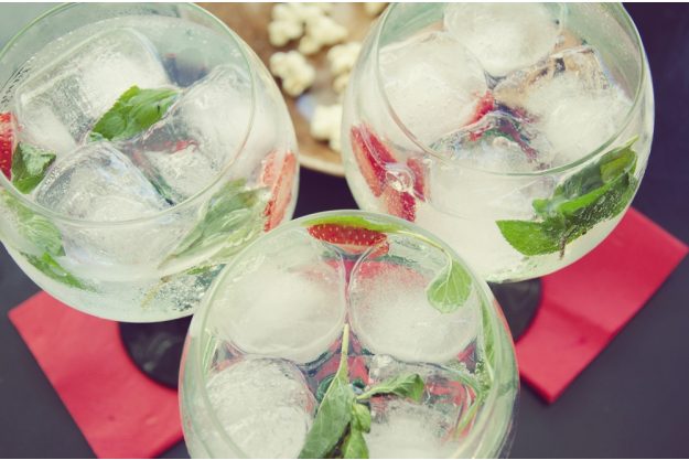 Gin-Tasting Köln – Gin mit Minze