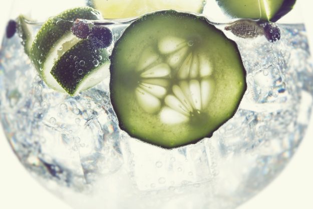 Gin-Tasting Köln – Schottischer Gin mit Gurkenscheiben und Wacholderbeeren