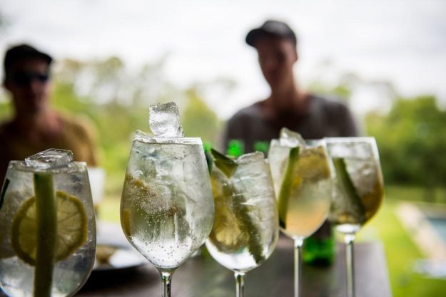 Gin-Tasting Stuttgart – Sommerdrinks