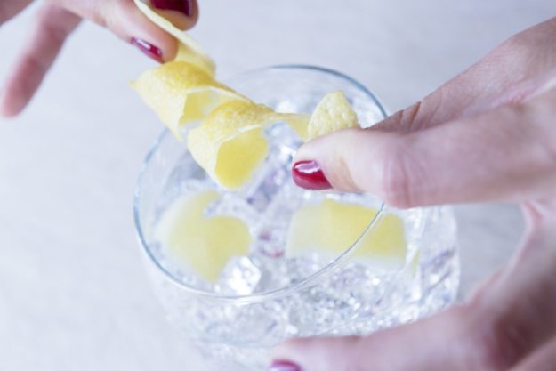 Gin-Tasting Stuttgart – Gin mit Zitrone