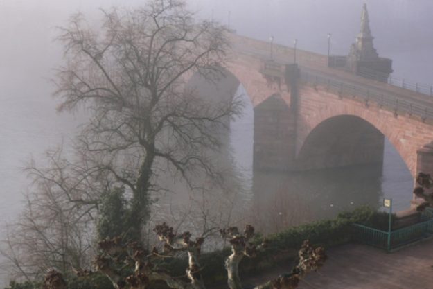 Kulinarische Stadtführung Heidelberg - Nebel in der Stadt