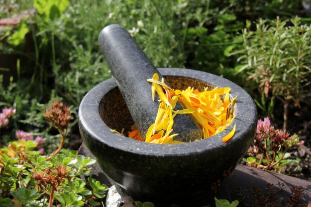 Gewürzkochkurs Dresden - 