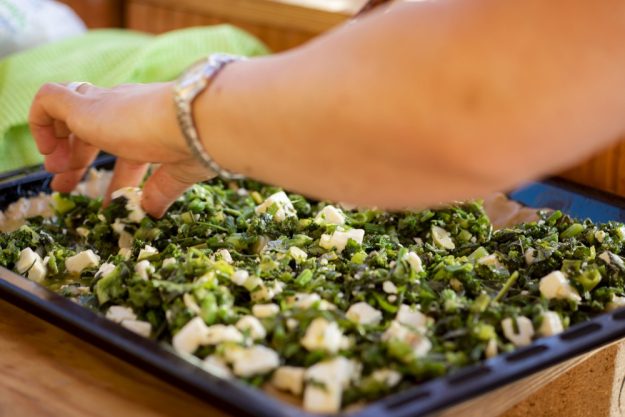 Kräuterwanderung München – Kräuter  finden und einsammeln 