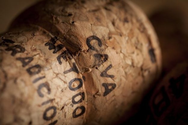 Schaumweinprobe München – Cava