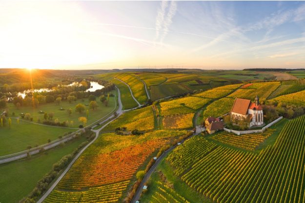Wellness-mit-Wein-Wuerzburg wunderschöne Weinberge