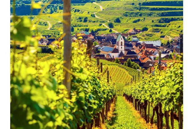 Weinprobe München – Tester schnuppert am Wein 