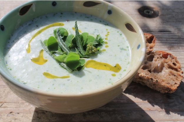 Wildkräuter-Kochkurs München – Bärlauchsuppe