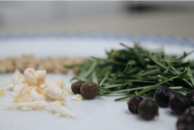 Wildkräuter-Kochkurs München – Kräuter aus dem Wald