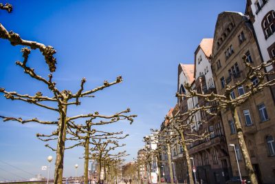 Kulinarische Stadtführung Düsseldorf Schöne Carlstadt