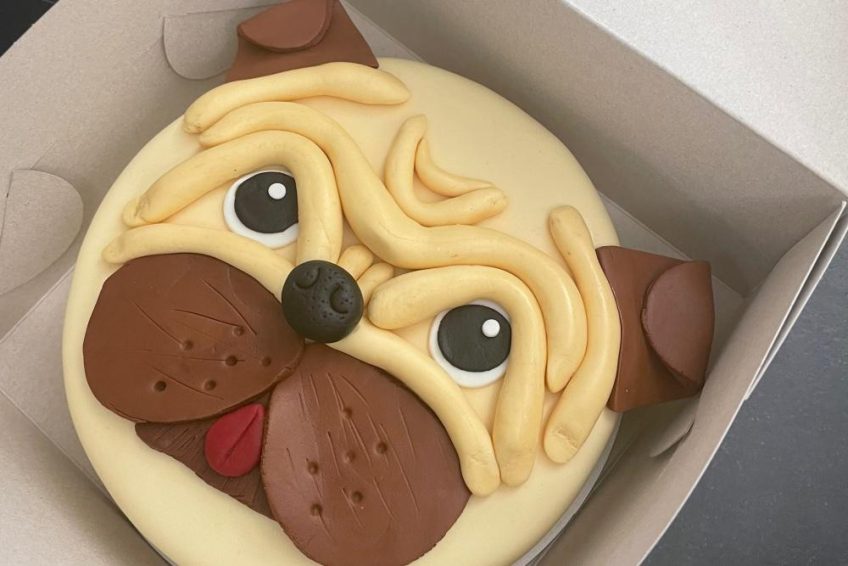 Tortenkurs in Mannheim Tortenkunstwerke